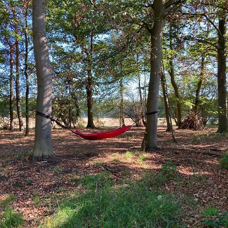 Zum Heuerling Ferienwohung Im Alten Stall Mit Sauna Versmold 外观 照片