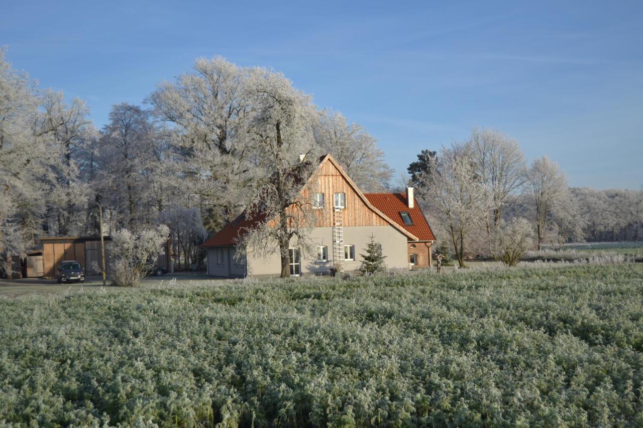 Zum Heuerling Ferienwohung Im Alten Stall Mit Sauna Versmold 外观 照片