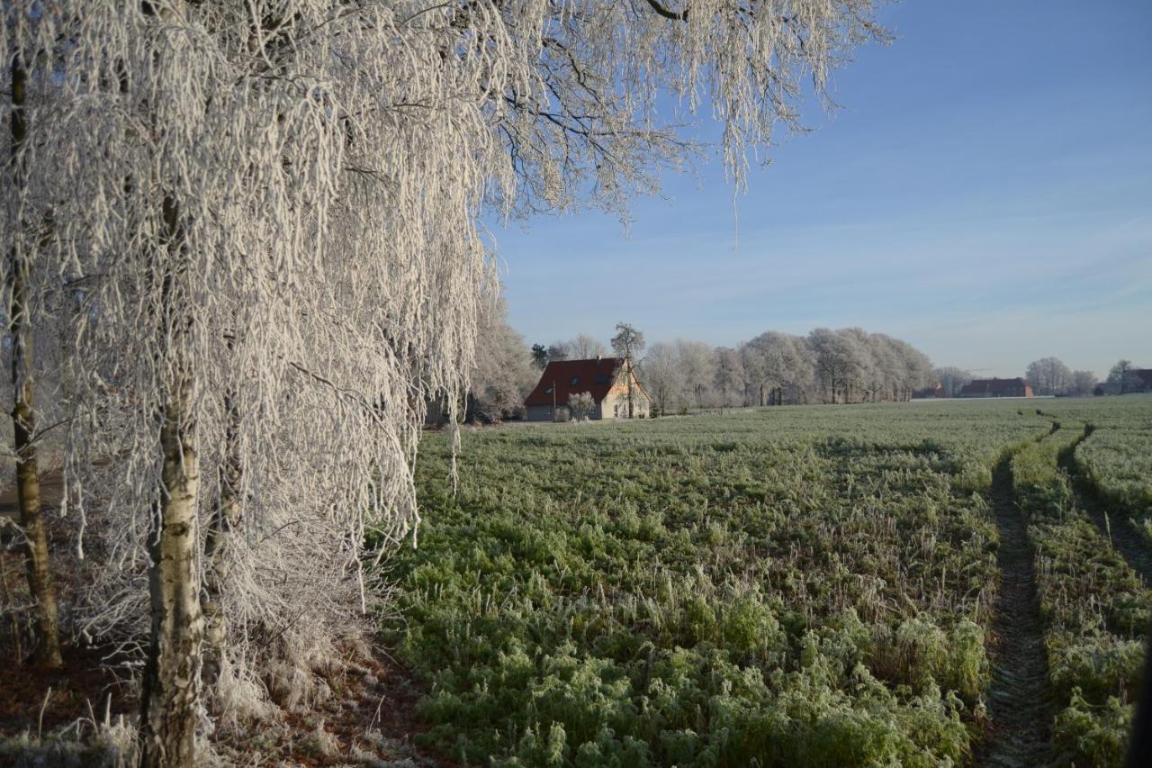 Zum Heuerling Ferienwohung Im Alten Stall Mit Sauna Versmold 外观 照片